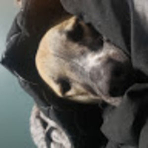 Meet your Posher, Winfield